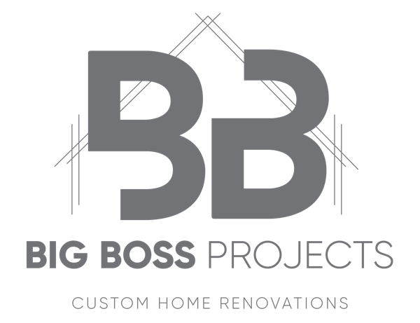 Big Boss Projects